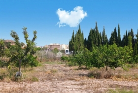 Novelda 4593&nbsp;m²