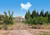 Terreno con Almacén en venta en la España, Novelda, ref: TR413058 foto
