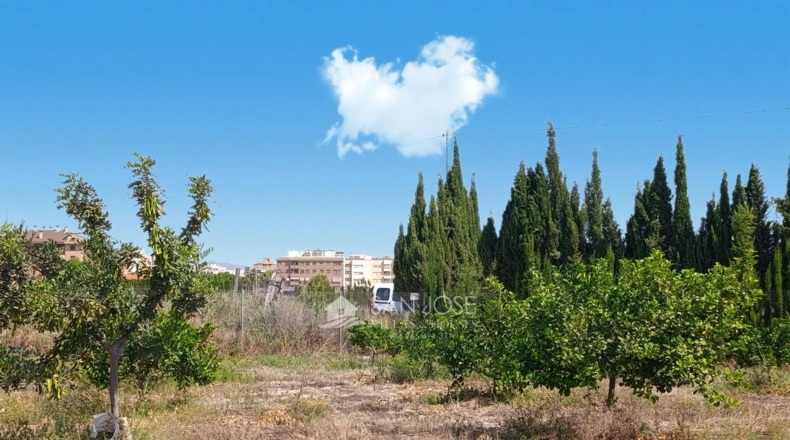 Alicante - Novelda - 4593m2
