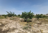 Terreno con Almacén en venta en la España, Novelda, ref: TR413058 foto