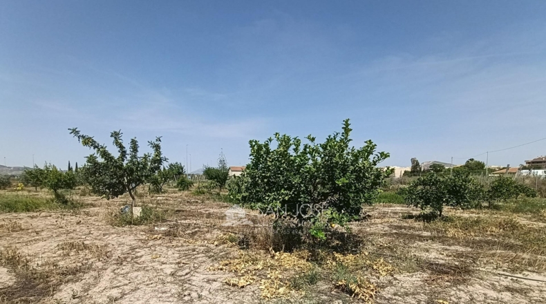 Alicante - Novelda - 4593m2