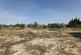 Novelda 4593&nbsp;m²