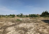 Terreno con Almacén en venta en la España, Novelda, ref: TR413058 foto