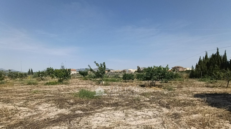 Alicante - Novelda - 4593m2