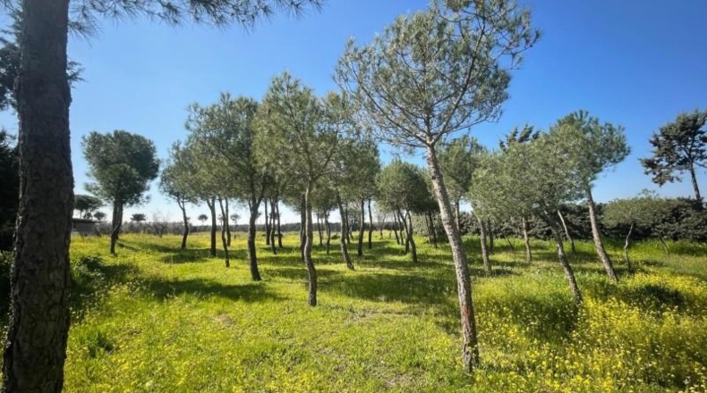 Comunidad de Madrid - Leganés - 2000m2