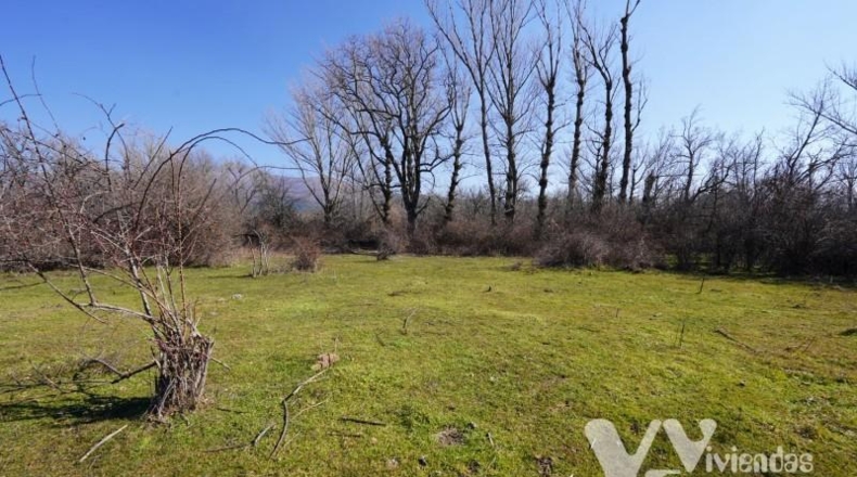 Guadalajara - Campillo de Ranas - 2934m2
