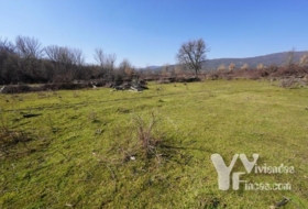 Campillo de Ranas 2934&nbsp;m² 