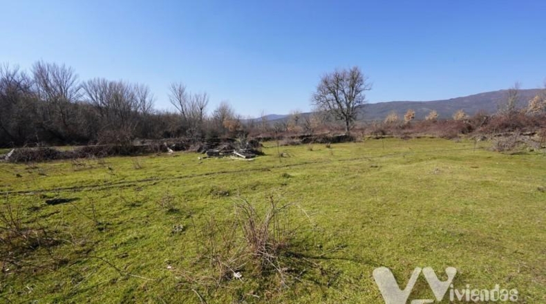 Guadalajara - Campillo de Ranas - 2934m2