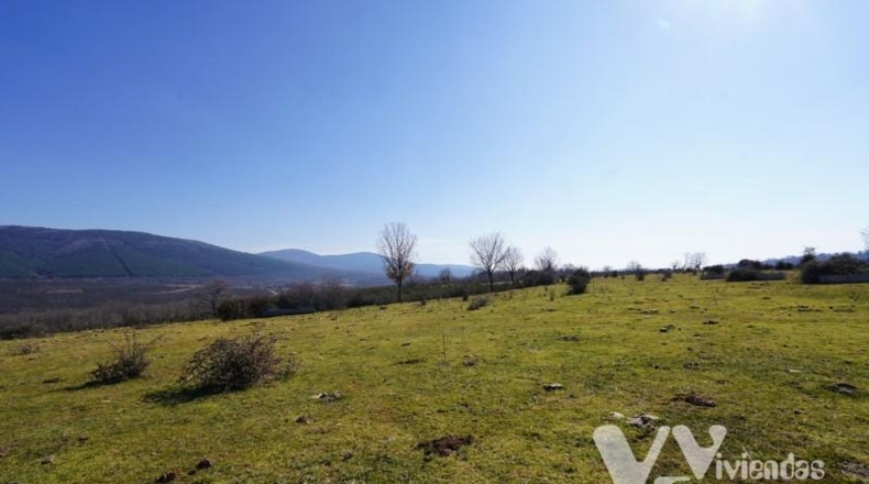 Guadalajara - Campillo de Ranas - 2934m2