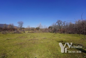 Campillo de Ranas 2934&nbsp;m² 