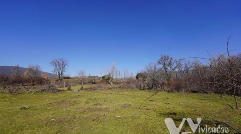 Guadalajara - Campillo de Ranas - 2934m2
