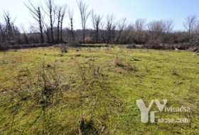 Campillo de Ranas 2934&nbsp;m² 