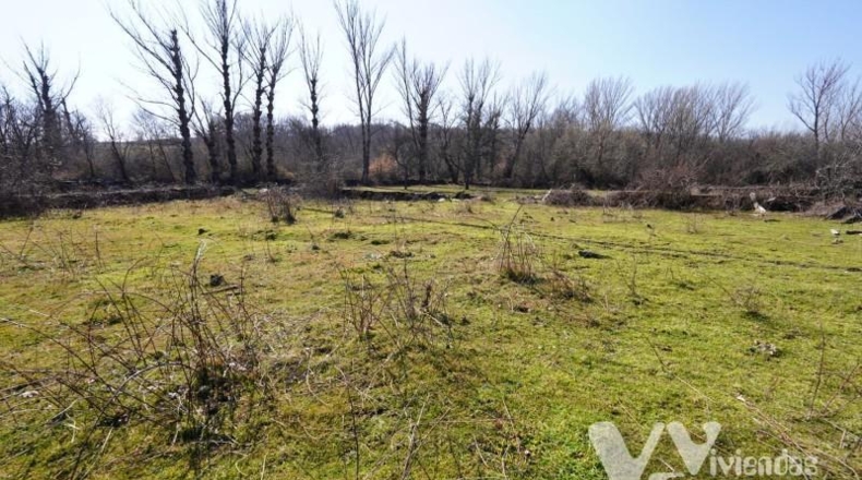 Guadalajara - Campillo de Ranas - 2934m2