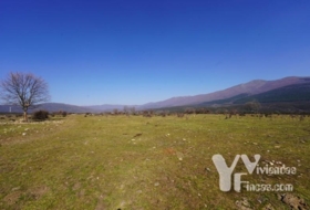 Campillo de Ranas 2934&nbsp;m² 