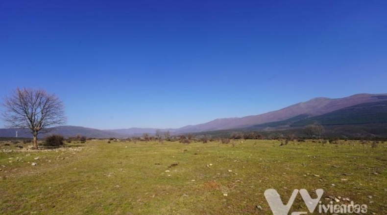 Guadalajara - Campillo de Ranas - 2934m2