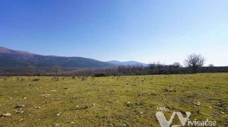 Guadalajara - Campillo de Ranas - 2934m2