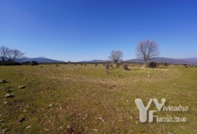 Campillo de Ranas 2934&nbsp;m² 