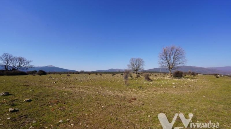 Guadalajara - Campillo de Ranas - 2934m2