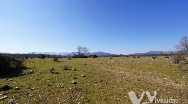 Guadalajara - Campillo de Ranas - 2934m2
