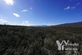 Campillo de Ranas 5126&nbsp;m² 