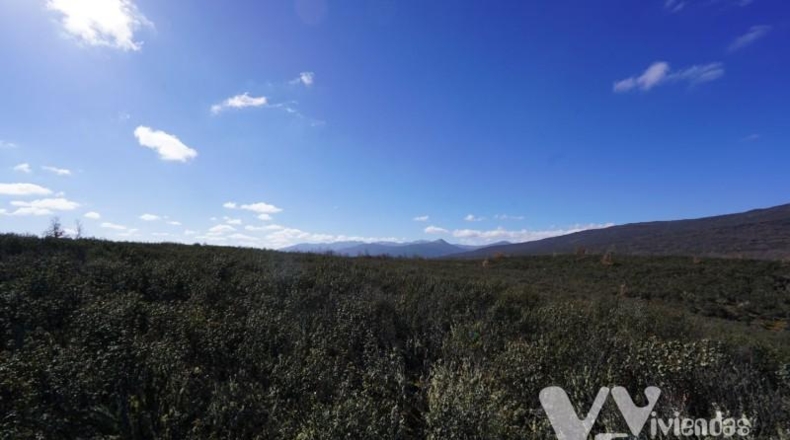 Guadalajara - Campillo de Ranas - 5126m2