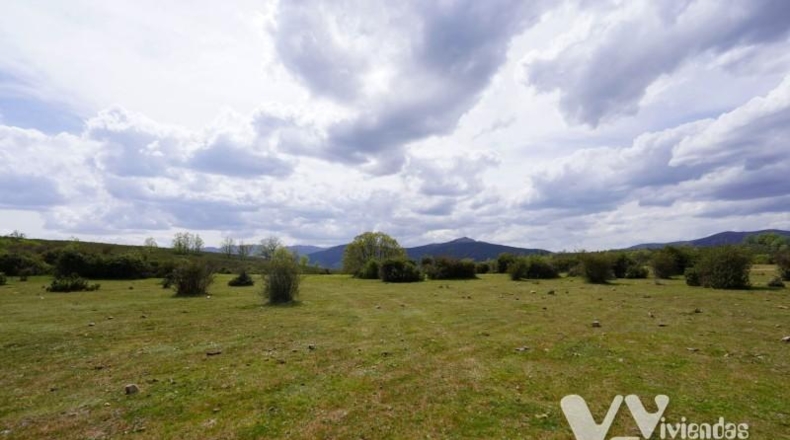 Guadalajara - Campillo de Ranas - 7050m2