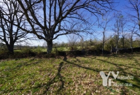 Campillo de Ranas 7050&nbsp;м²