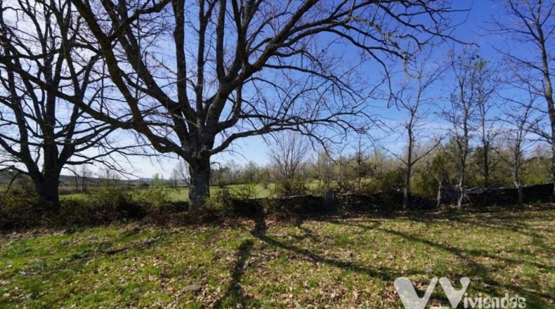 Guadalajara - Campillo de Ranas - 7050m2
