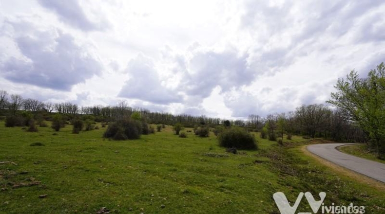 Guadalajara - Campillo de Ranas - 7050m2