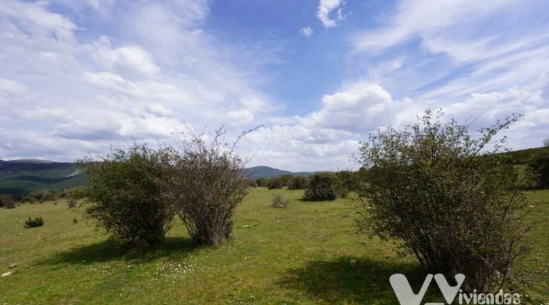 Guadalajara - Campillo de Ranas - 7050m2