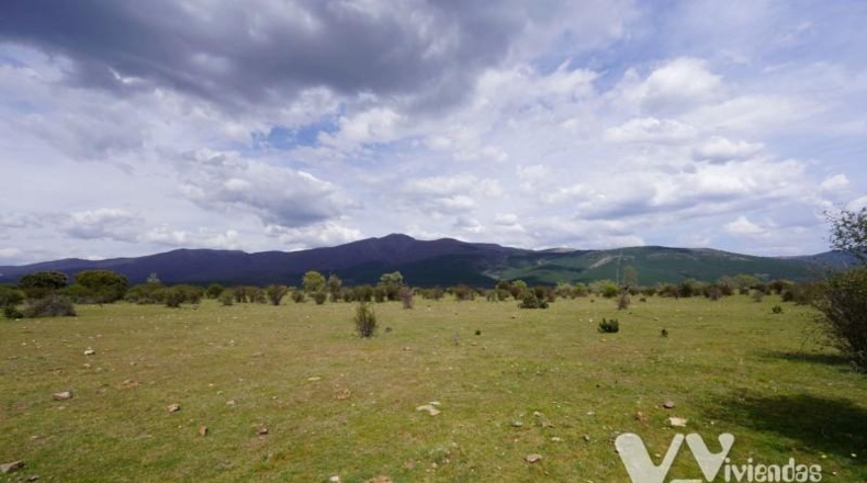 Guadalajara - Campillo de Ranas - 7050m2