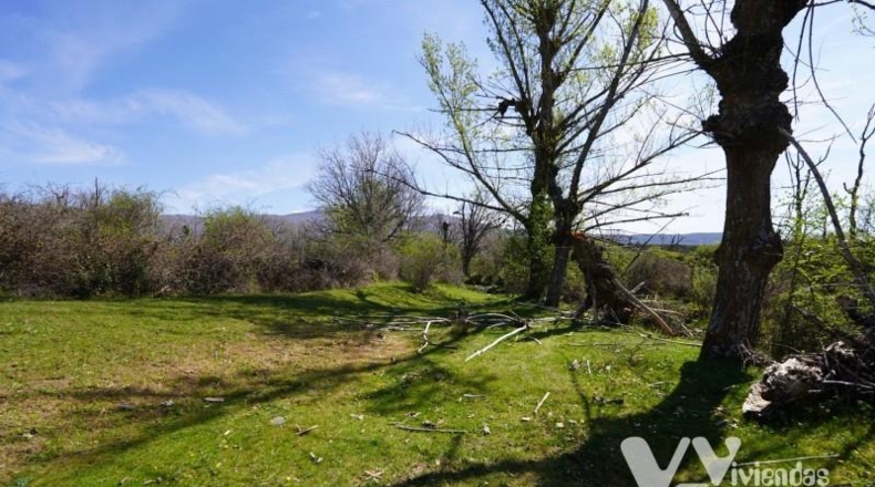 Guadalajara - Campillo de Ranas - 7050m2