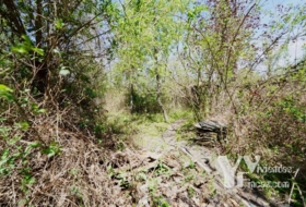 Campillo de Ranas 7050&nbsp;м²