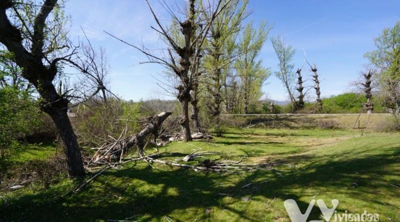 Guadalajara - Campillo de Ranas - 7050m2