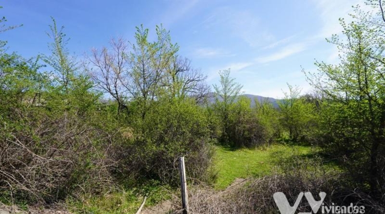 Guadalajara - Campillo de Ranas - 7050m2