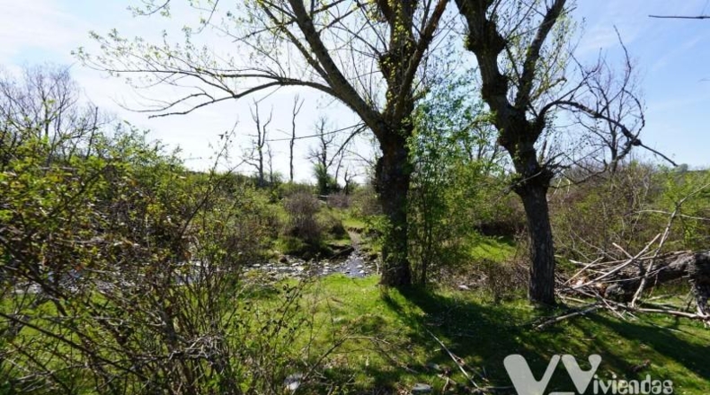 Guadalajara - Campillo de Ranas - 7050m2