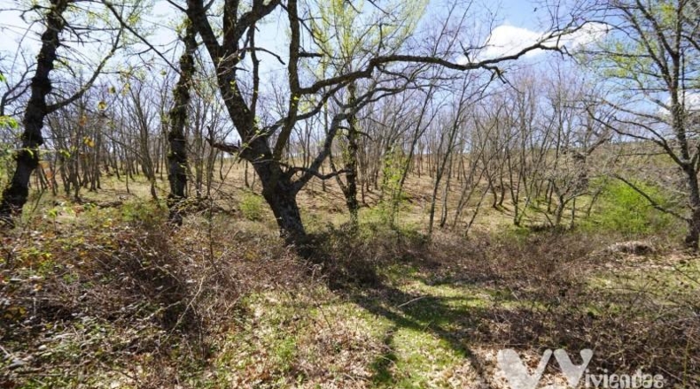 Guadalajara - Campillo de Ranas - 766m2