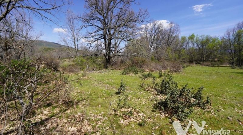 Guadalajara - Campillo de Ranas - 766m2