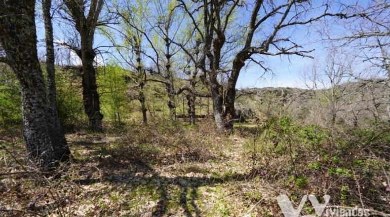 Guadalajara - Campillo de Ranas - 766m2