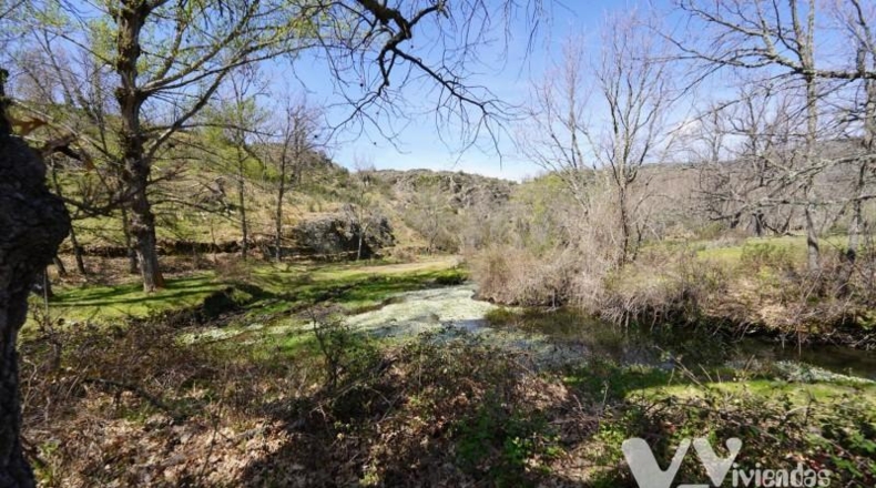 Guadalajara - Campillo de Ranas - 766m2
