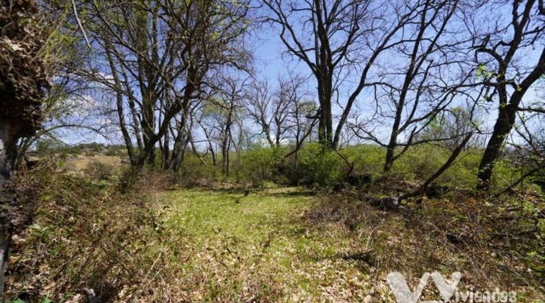 Guadalajara - Campillo de Ranas - 766m2