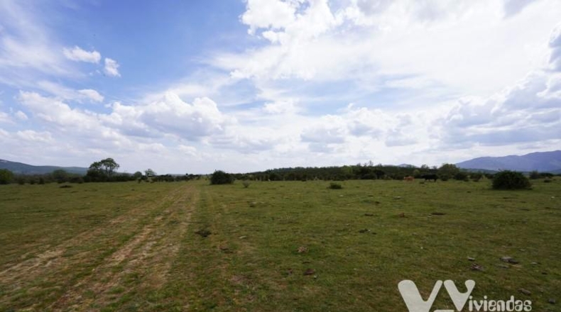 Guadalajara - Campillo de Ranas - 5154m2
