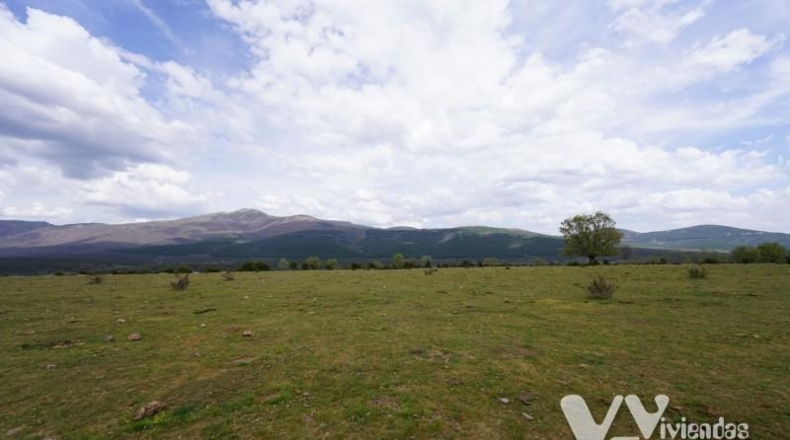 Guadalajara - Campillo de Ranas - 5154m2