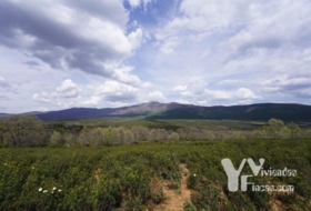 Campillo de Ranas 5154&nbsp;m² 