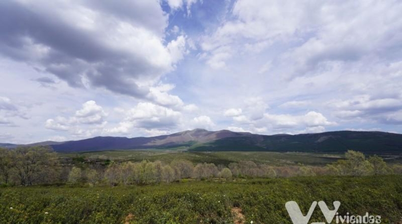 Guadalajara - Campillo de Ranas - 5154m2