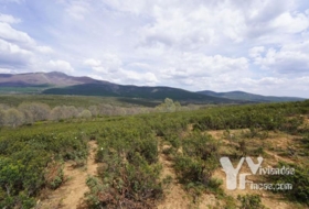 Campillo de Ranas 5154&nbsp;m² 