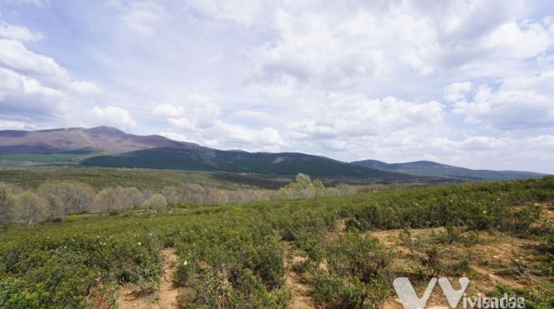 Guadalajara - Campillo de Ranas - 5154m2
