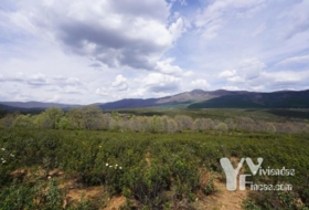 Campillo de Ranas 5154&nbsp;m² 