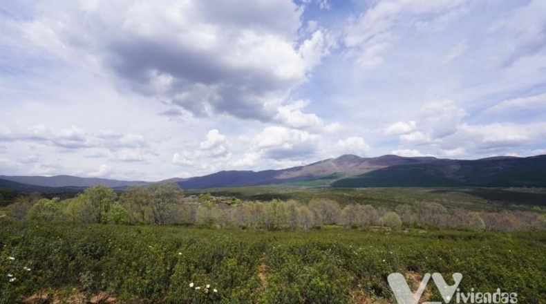 Guadalajara - Campillo de Ranas - 5154m2