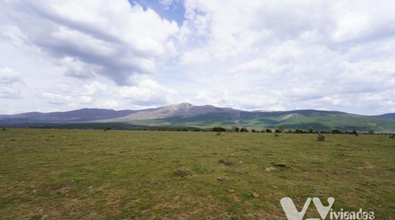 Guadalajara - Campillo de Ranas - 5154m2